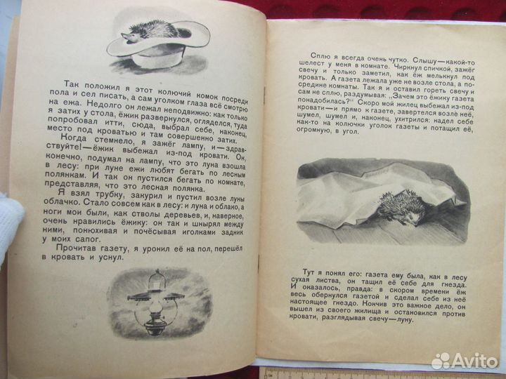 М. Пришвин Ёж Мои Рисунки А Шигаева 1948 год