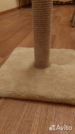 Когтеточка