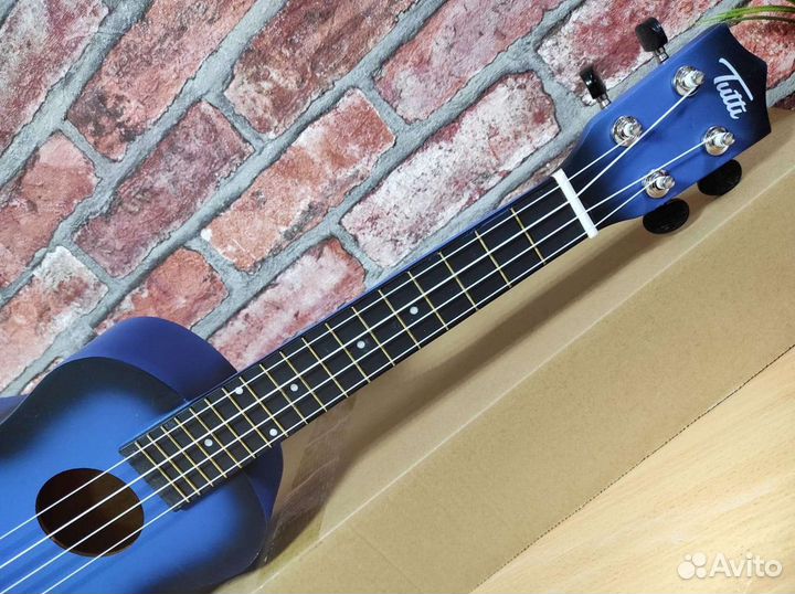 Укулеле концерт новая