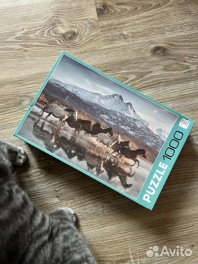 Пазлы 1000