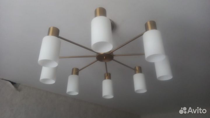 Мастер, сантехник, дезинсекция, ветеринар