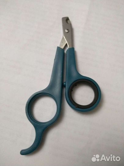 Принадлежности для животных