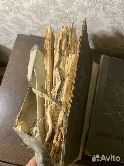 Поход Челюскина. Том 1. 1934 год