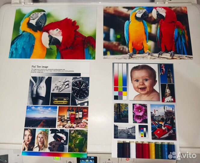 Мфу Epson XP 335 с WiFi и снпч