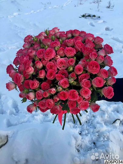 Кустовые Розы с Доставкой