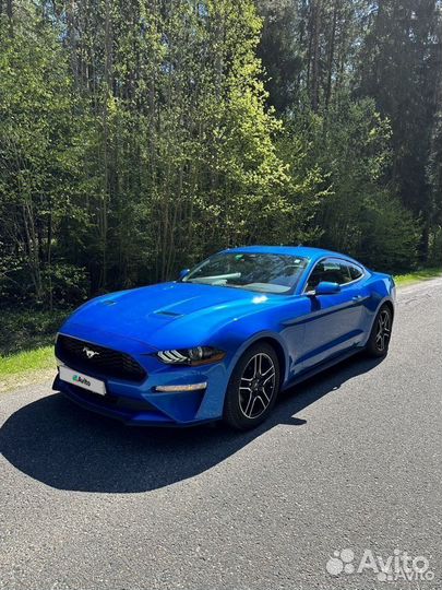 Ford Mustang 2.3 AT, 2021, 28 000 км