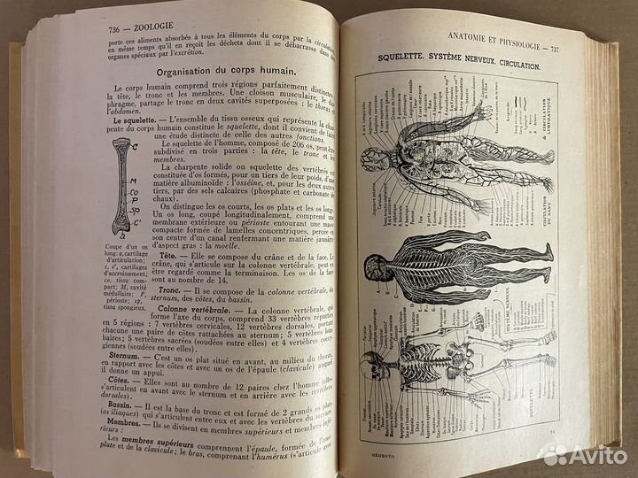 Memento Larousse Энциклопедия на французском 1949г