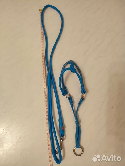 Шлейка для маленькой собаки кожа