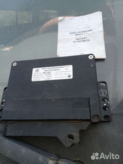 Мозги эбу на газель