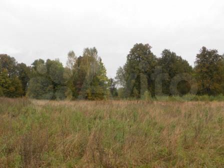 Участок 11 сот. (СНТ, ДНП)