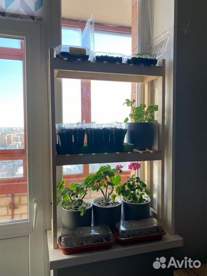 Стеллаж для рассады