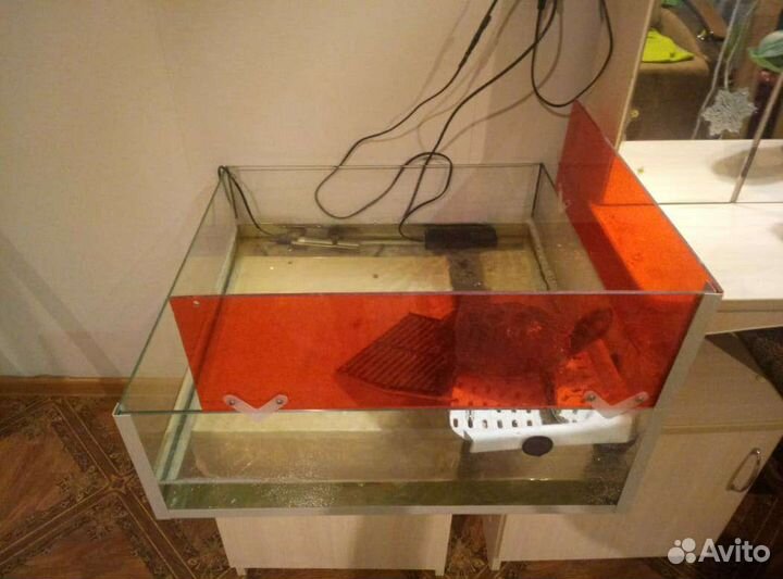 Аквариум с черепахой