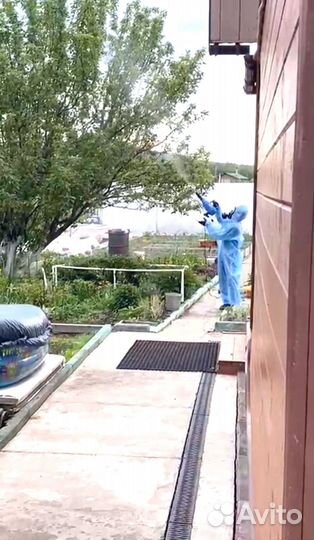 Обработка от тараканов, клопов, муравьев, мышей