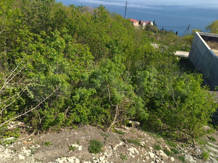 Участок 19,3 сот. (ИЖС)