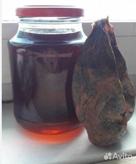 Барсучий жир