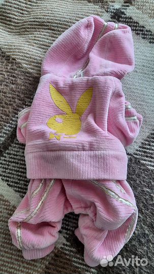 Одежда для маленьких собак