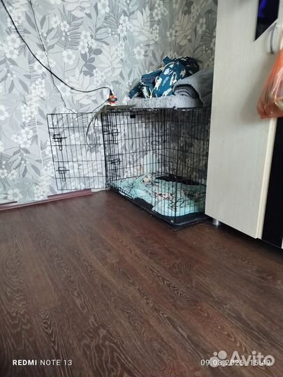 Клетка вольер для большой собаки