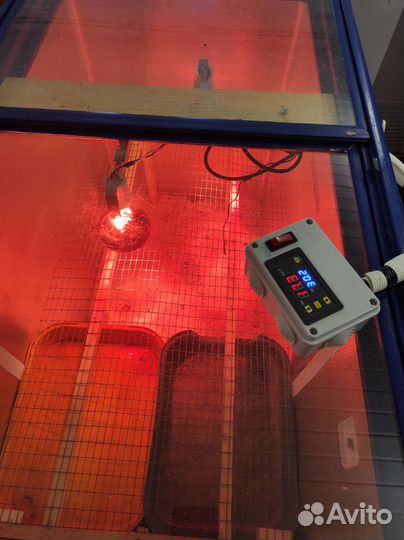 Брудер для цыплят бу