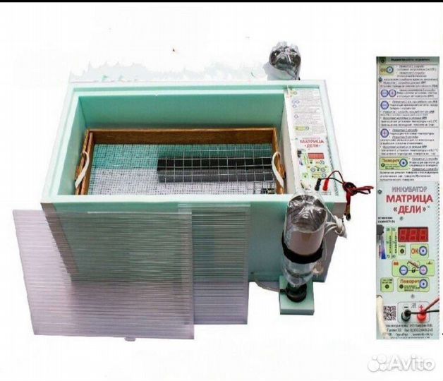 Инкубаторы Матрица, Блиц