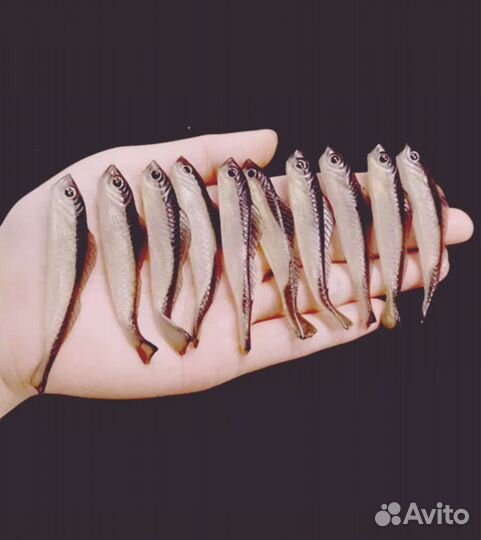 Воблеры (Реалистичные силиконовые рыбки)