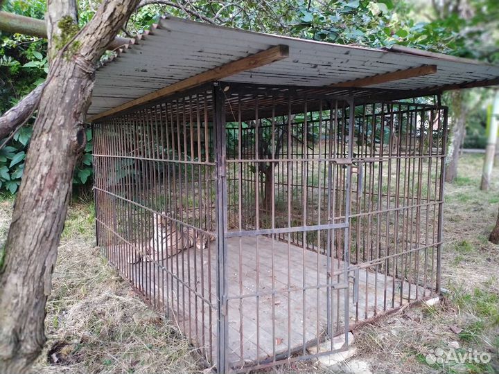 Вольер для собак уличный