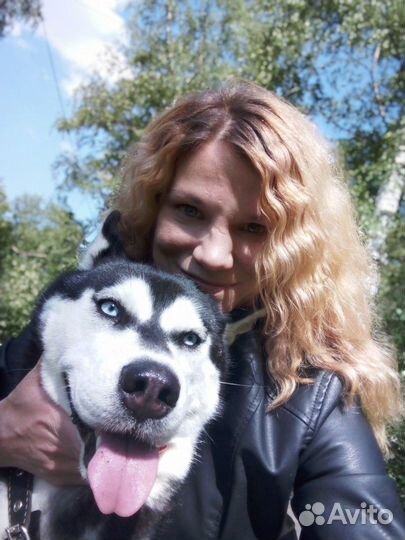 Любая работа, подработка