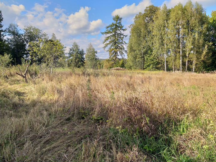 Дом 44 м² на участке 80 сот.