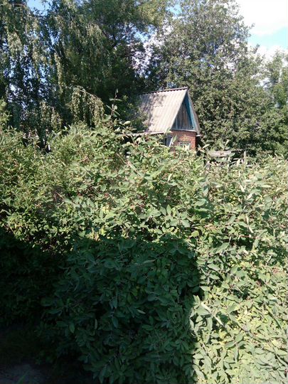 Участок 9 сот. (СНТ, ДНП)