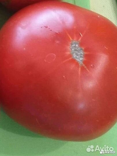 Семена домашних крупных помидор (красные,розовые)