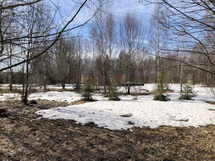 Участок 8,7 сот. (СНТ, ДНП)