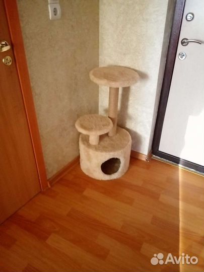 Когтеточка домик для кошки