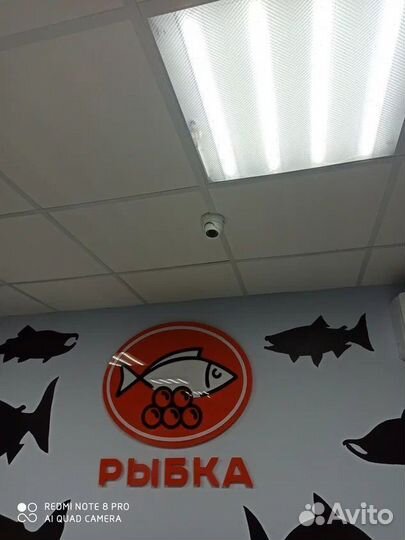 Интернет оборудование для организаций / физлиц