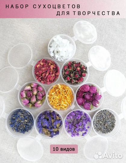 Сухоцветы для творчества