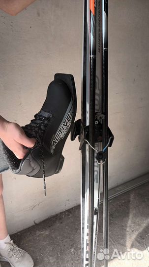 Беговые лыжи