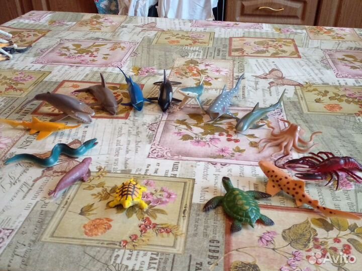 Марские животные