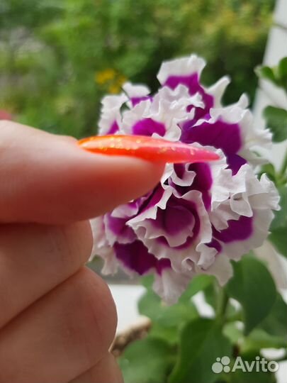 Наращивание ногтей