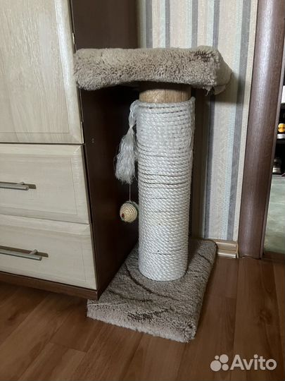 Когтеточка