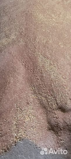 Лен масличный