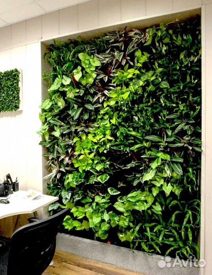 Вертикальное озеленение интерьера, фитостены