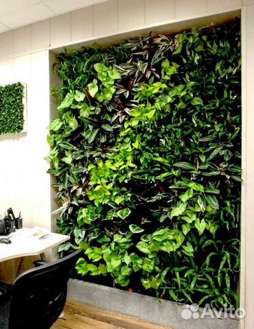 Вертикальное озеленение интерьера, фитостены