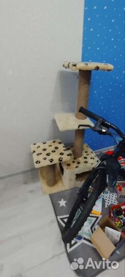 Когтеточка, домик для кошек
