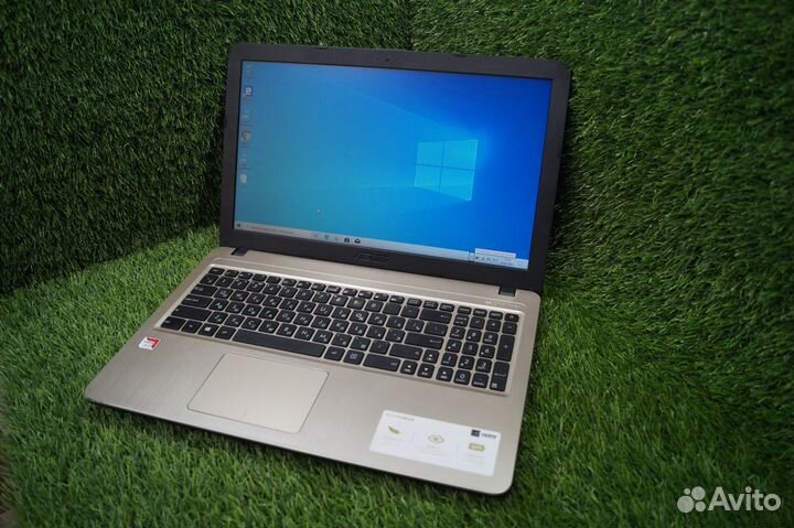 Золотистый asus для дома и офиса