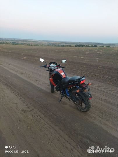 Рейсер нитро 250