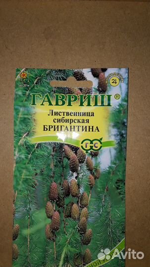 Семена цикламена, аспарагуса и хвойных