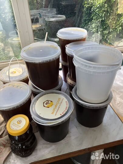 Мед Алтайский Ельцовский район Алт край собствен