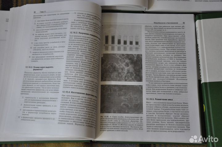 3 тома Биология Тейлор, Грин, Стаут