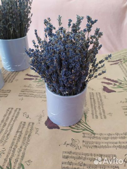 Лаванда Оригинальные букеты(лавандовая свадьба)