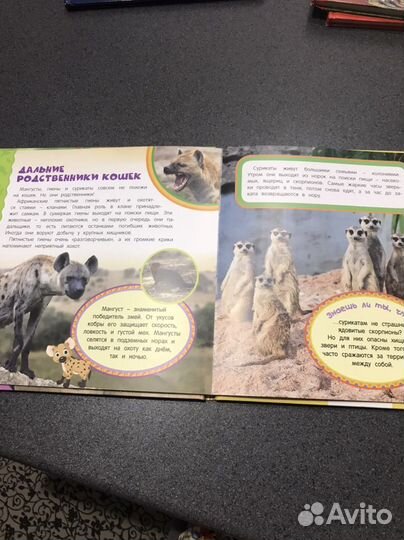 Хищники Самая первая энциклопедия