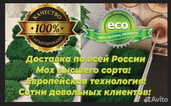 Стабилизированный мох для дизайнеров интерьера