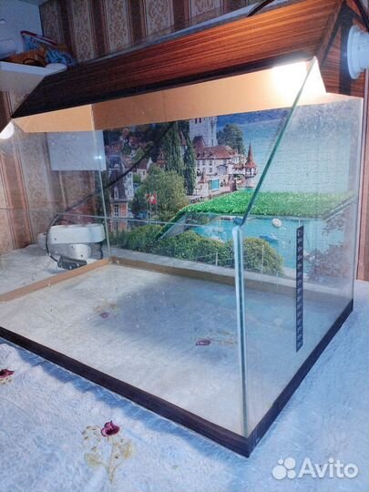 Террариум для красноухой черепахи